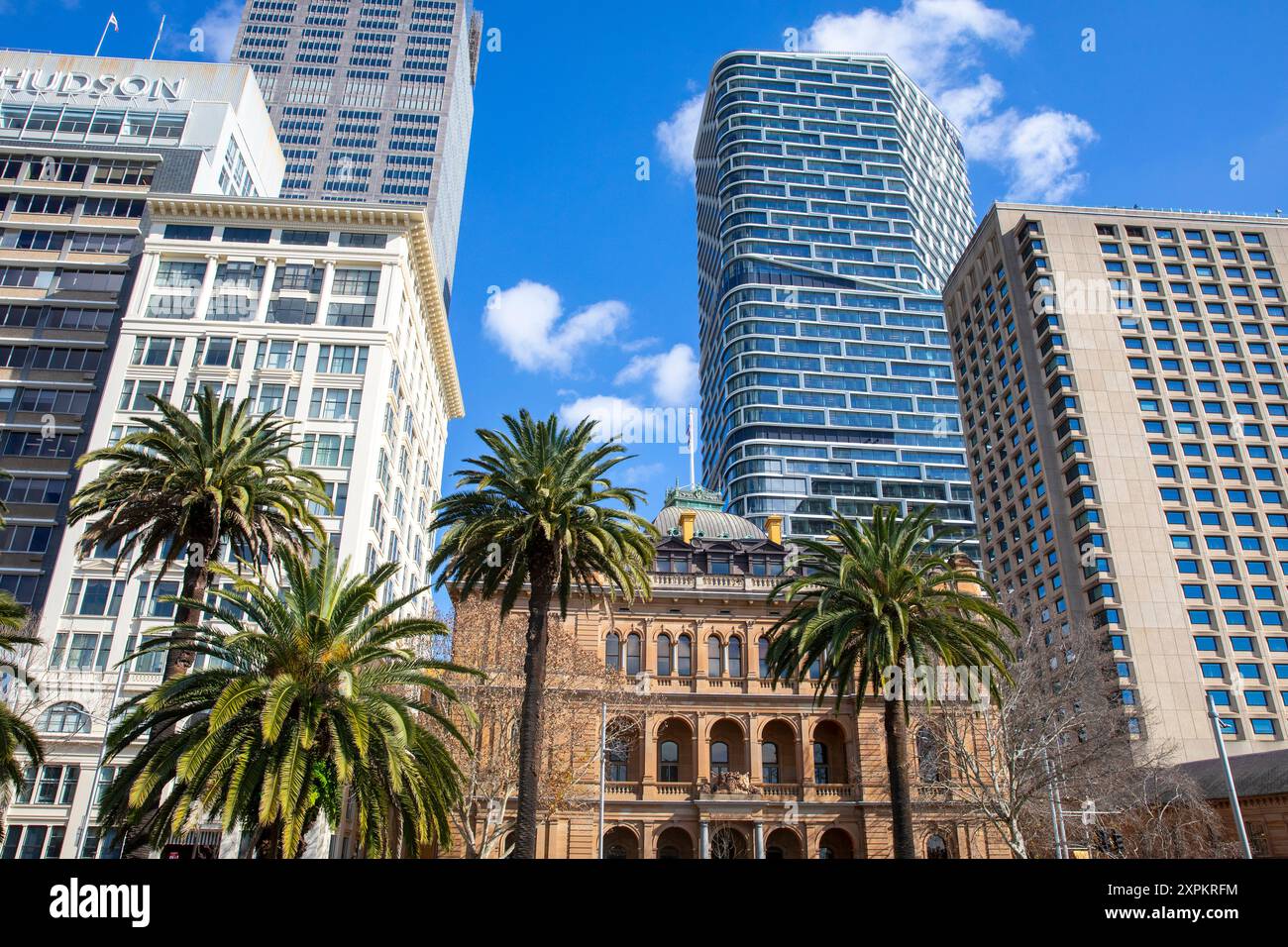 Sydney city centre modern and old office buildings along Macquarie street with palm trees in the foreground,Sydney,NSW,Australia Stock Photo