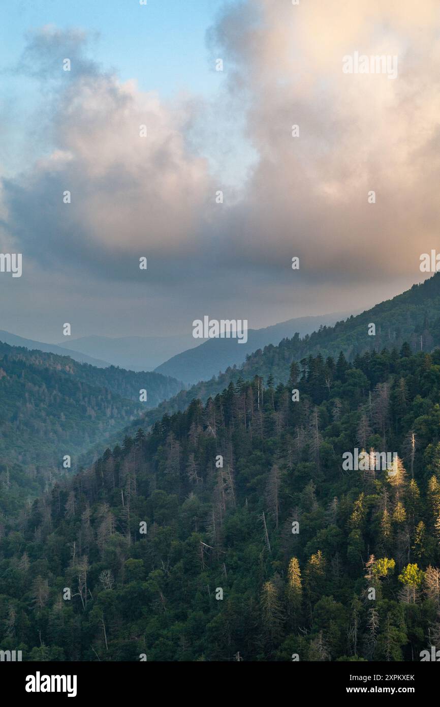 Morning Atmosphere in the Great Smoky Mountains National Park from Newfound Gap Road Stock Photo