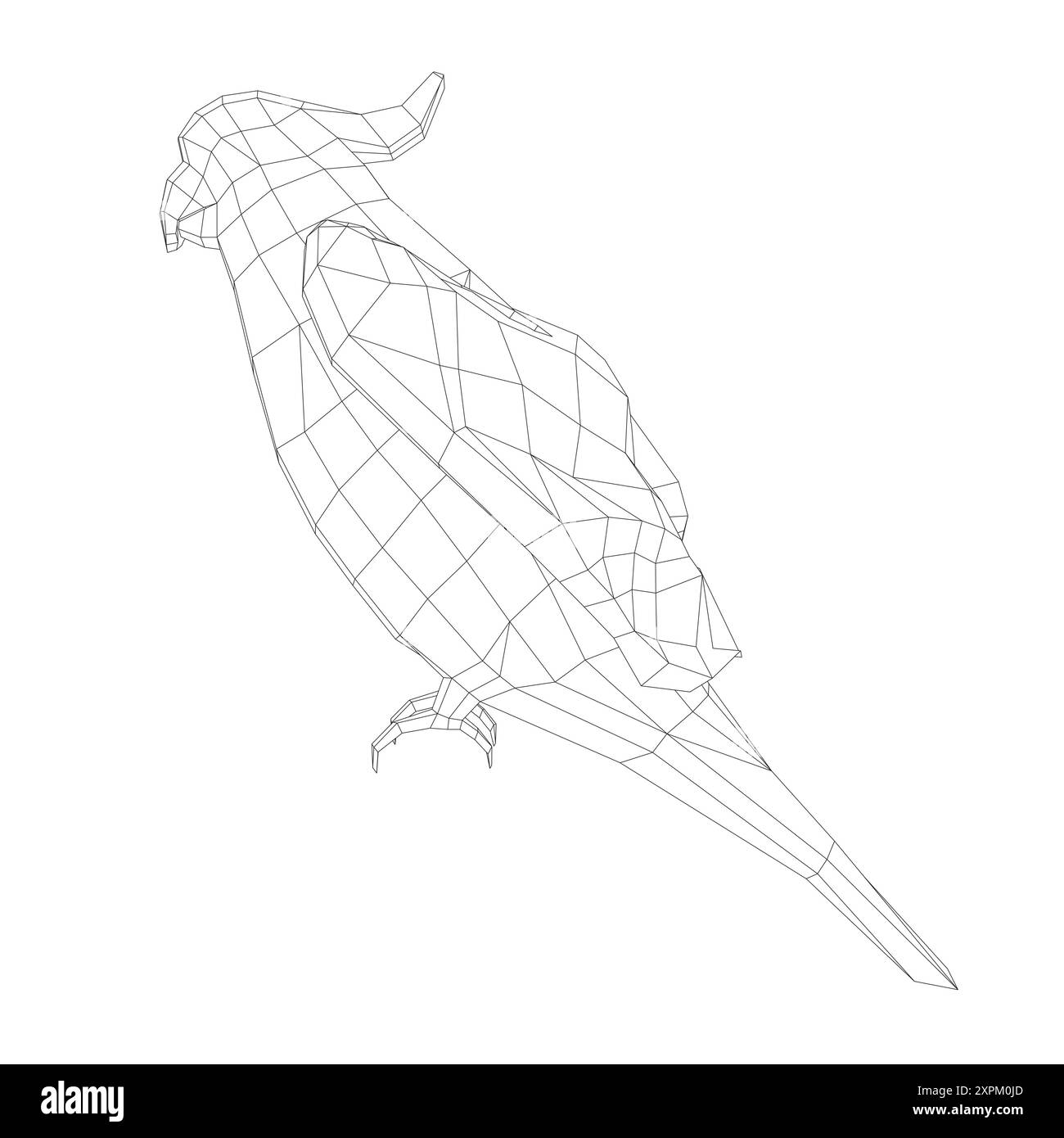 Black and white coloring page. Animals parrot icon. Vector stock