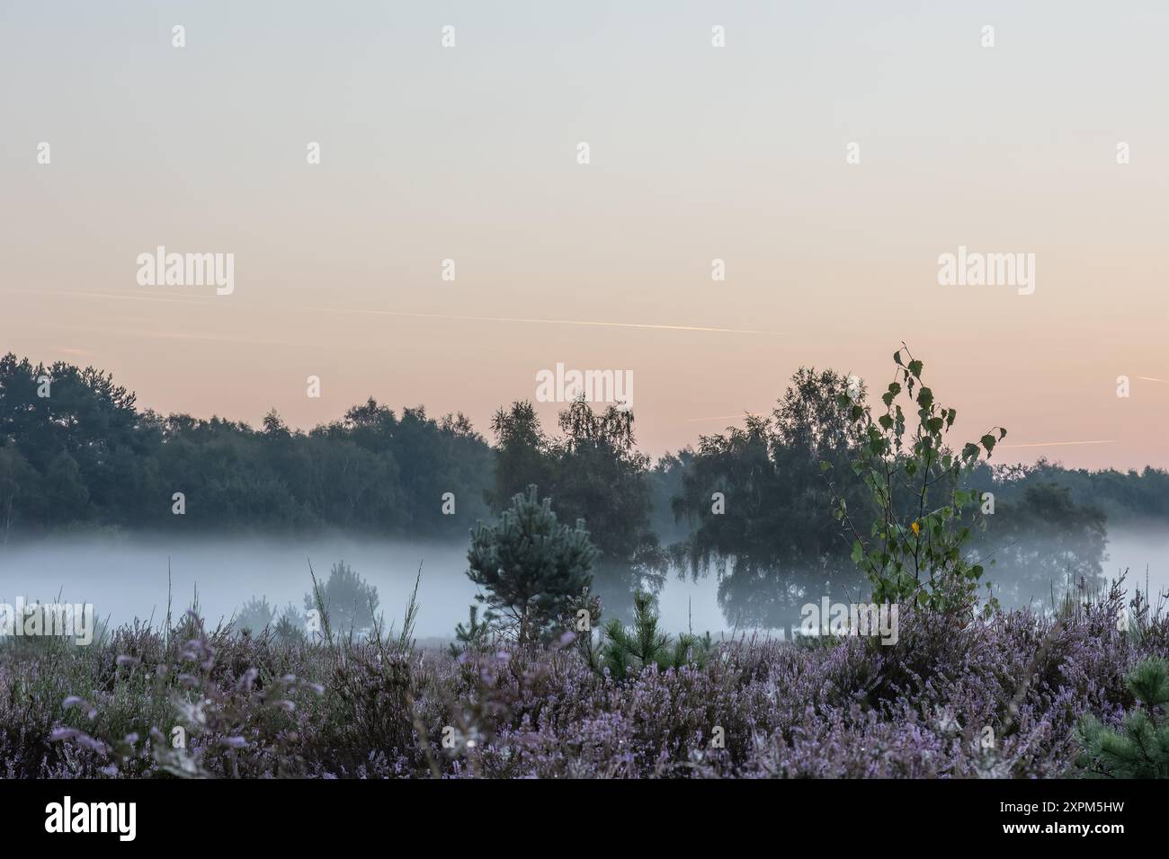 Ground fog sunrise hi-res stock photography and images - Alamy