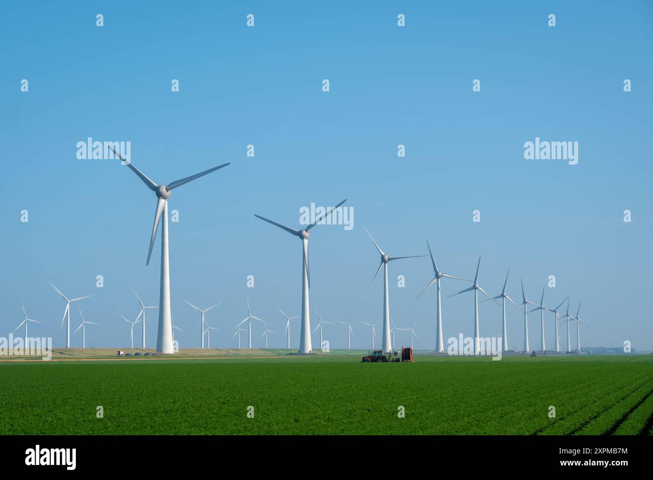 A serene landscape showcases a vast windmill park, towering over lush green fields, capturing the essence of sustainable energy in the Netherlands. windmill turbines with agriculture field Stock Photo