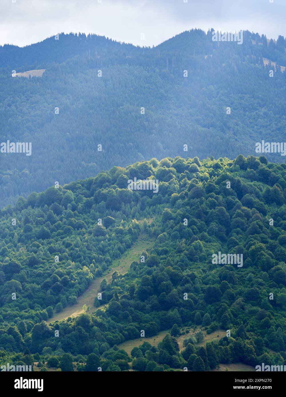 Aerial view of mountains covered in forests in the mid summer morning ...