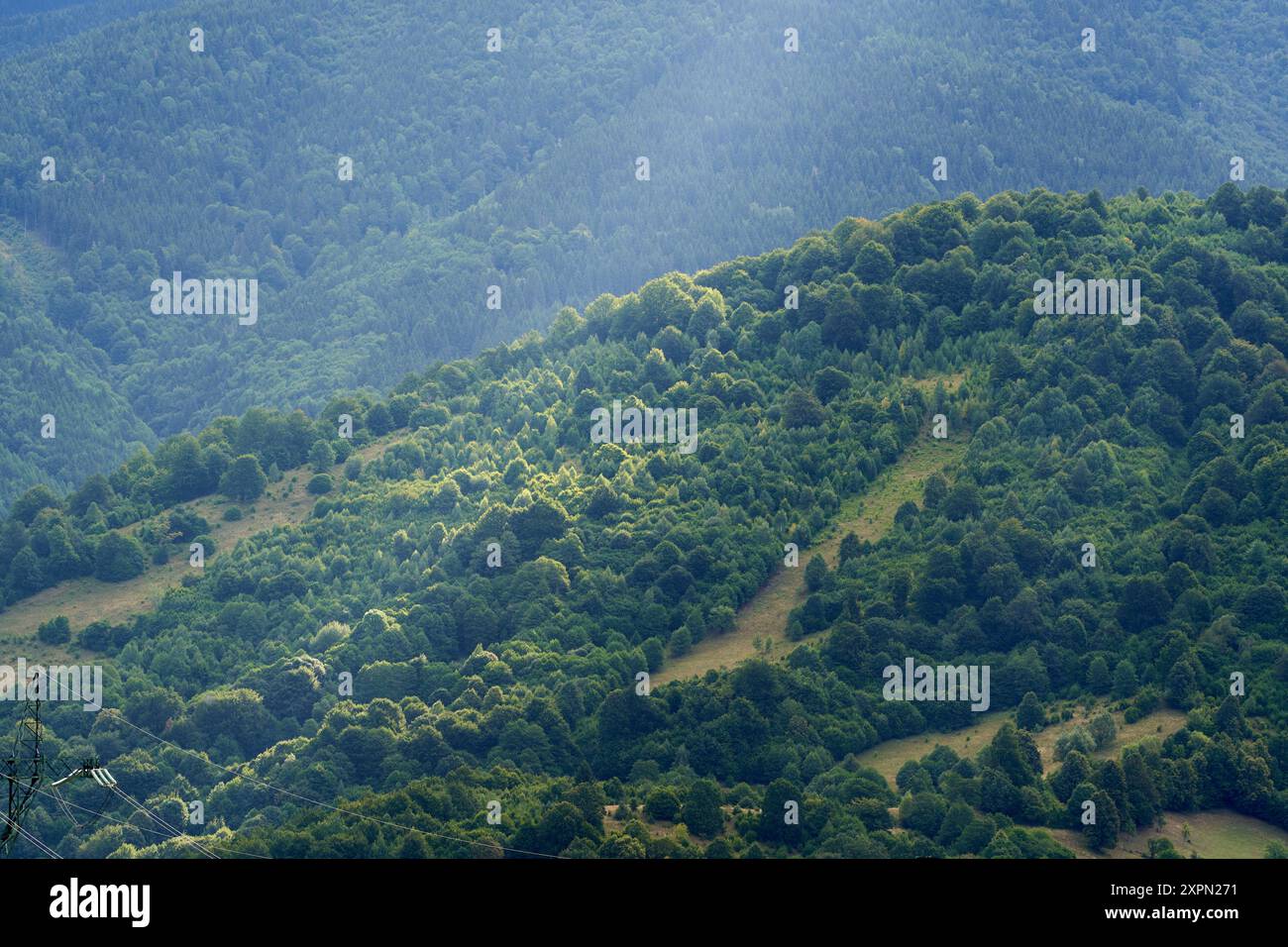 Aerial view of mountains covered in forests in the mid summer morning ...