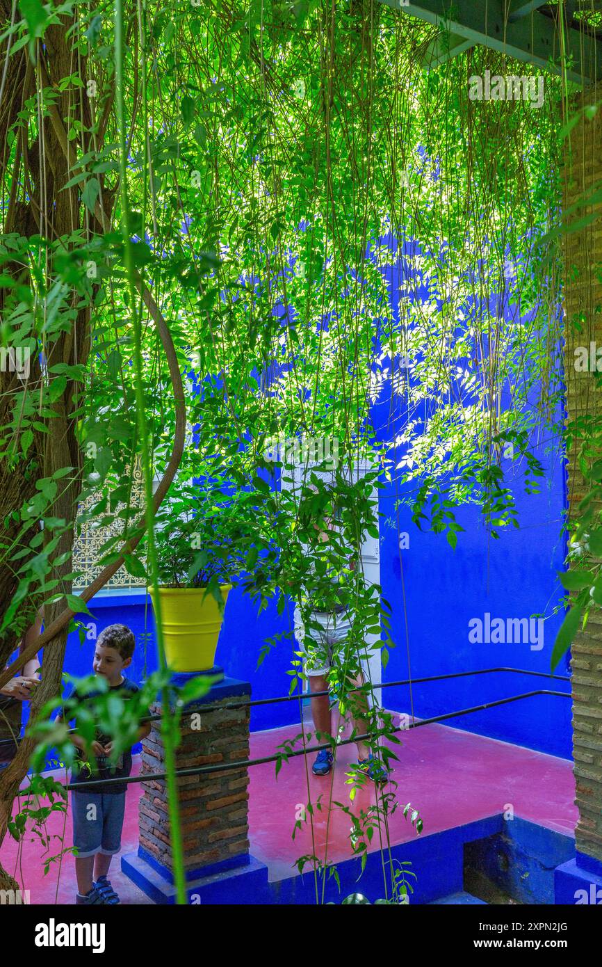 Rich falling vegetation hi-res stock photography and images - Alamy