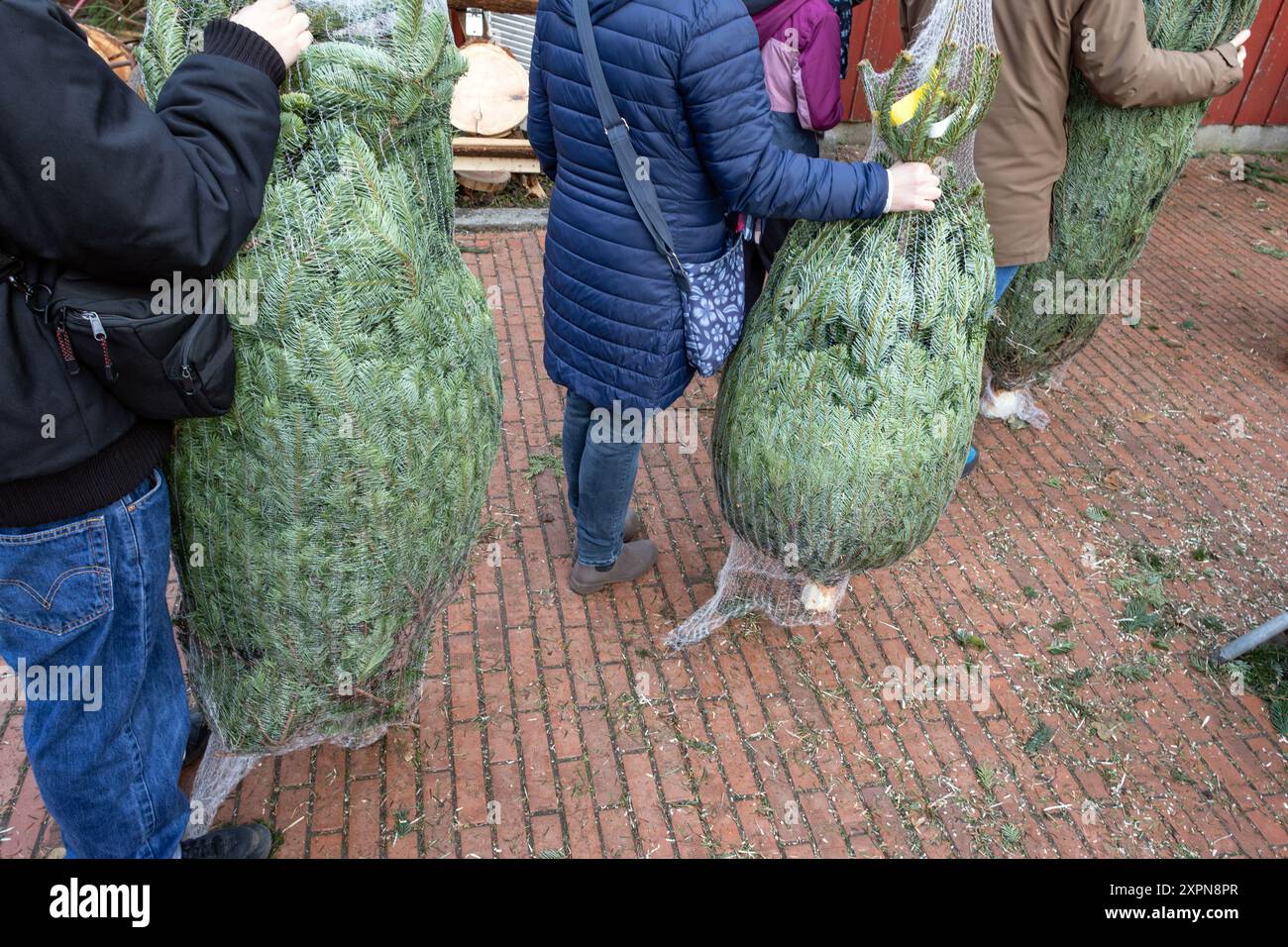 Buyers of Christmas trees stand in the checkout line Stock Photo