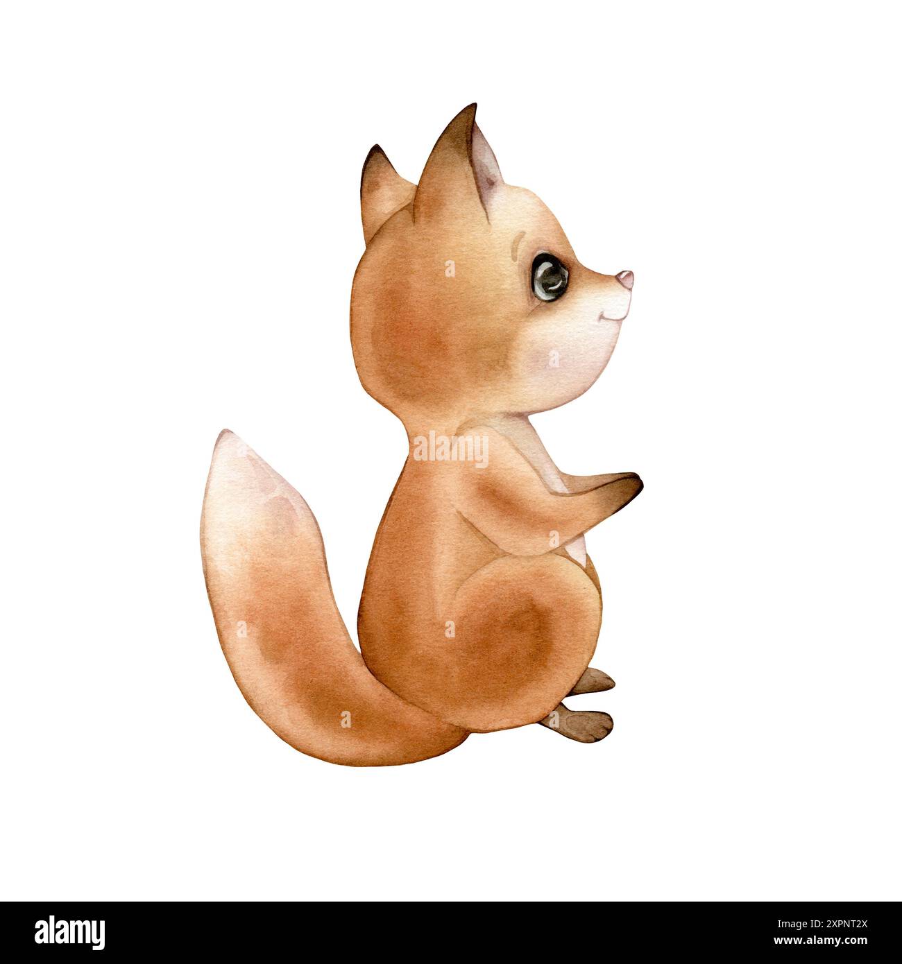 Watercolor cute fox. Drawing of forest animal in warm red orange brown ...