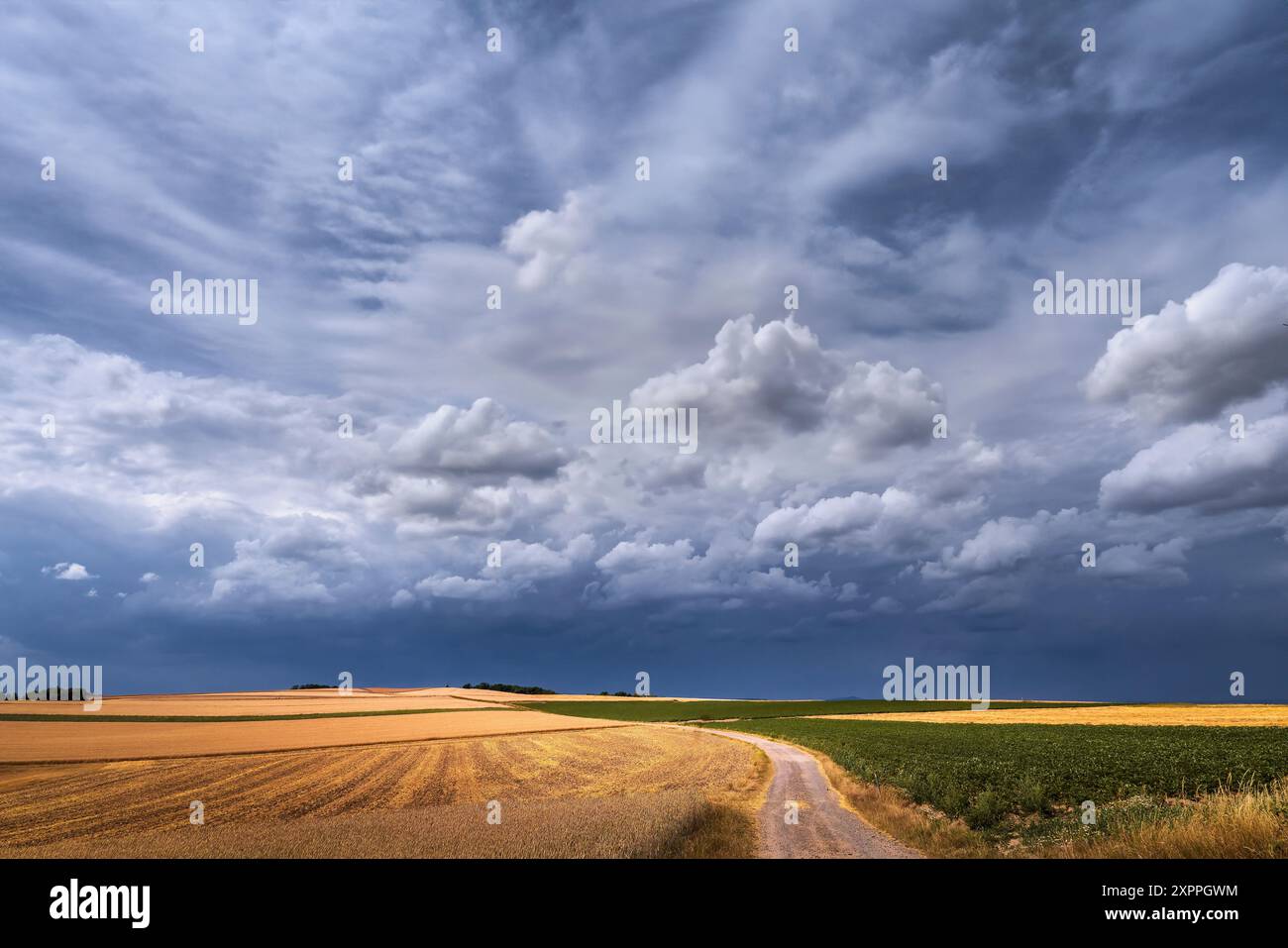 Dark storm clouds over bright cornfields, Bavaria, Germany Stock Photo