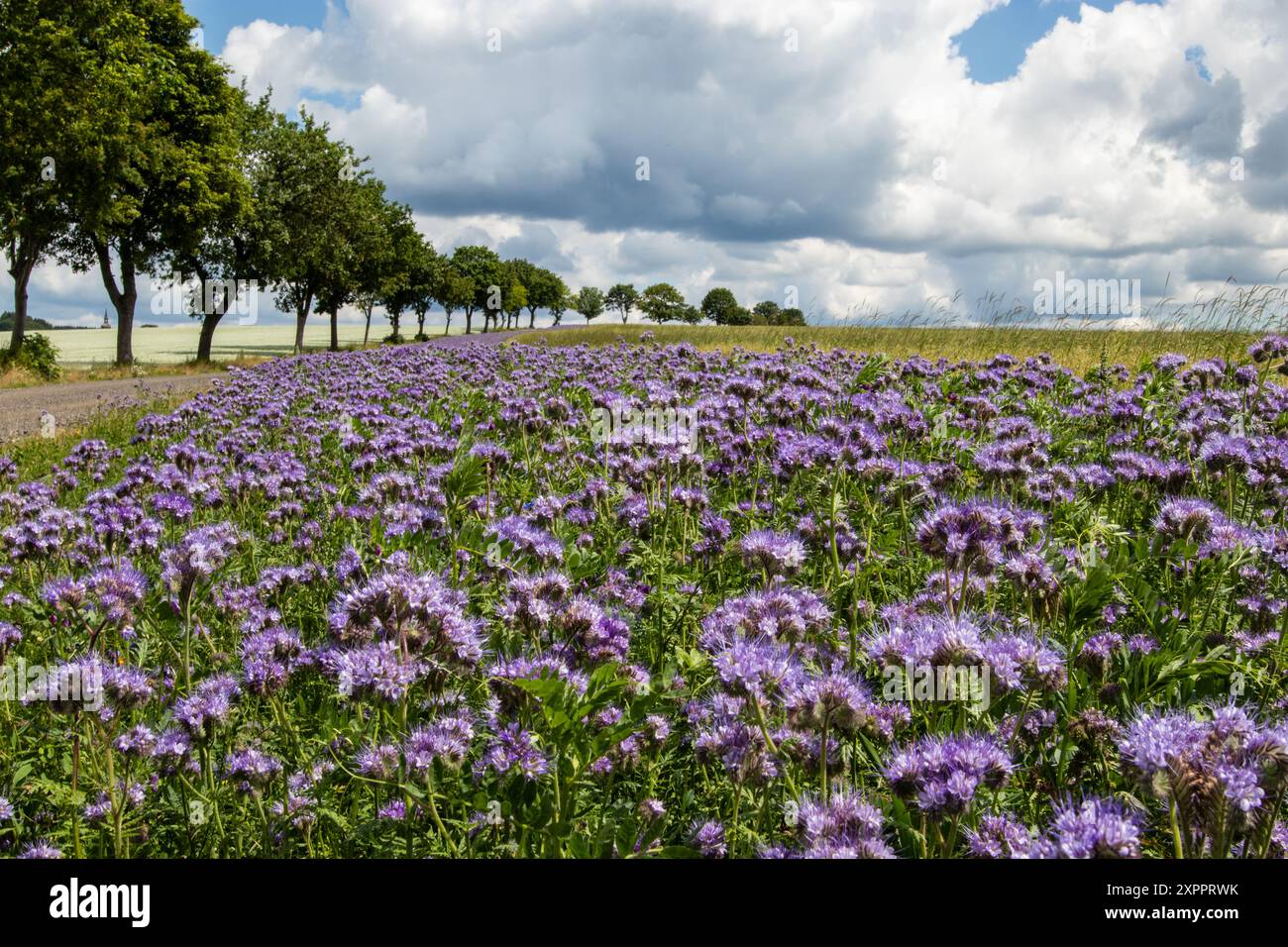 Erzgebirge Stock Photo