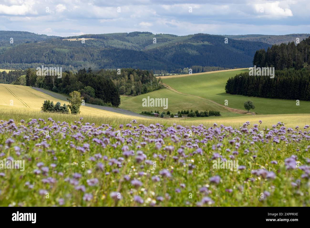Erzgebirge Stock Photo