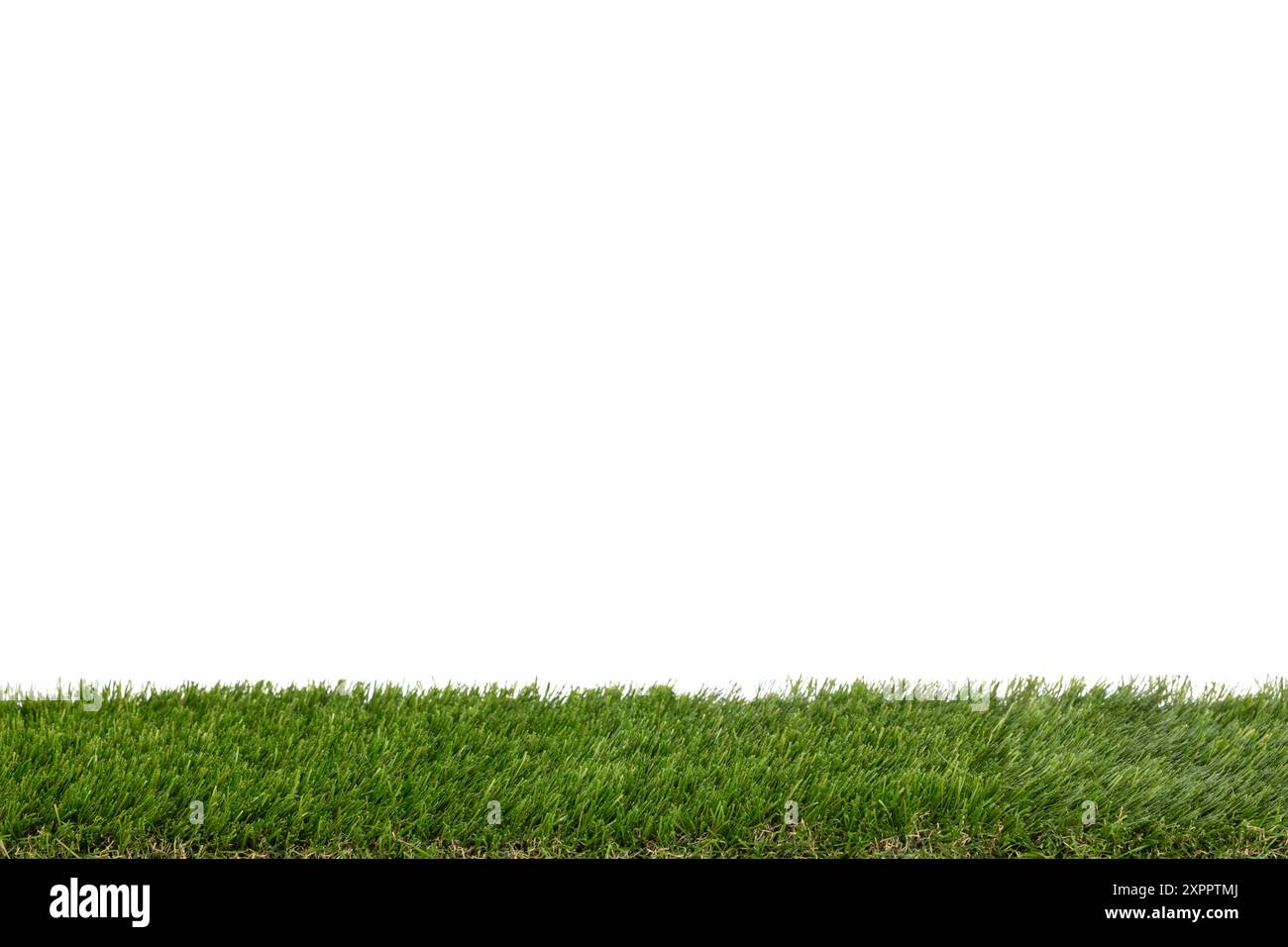 Dense green lush grass hi-res stock photography and images - Alamy