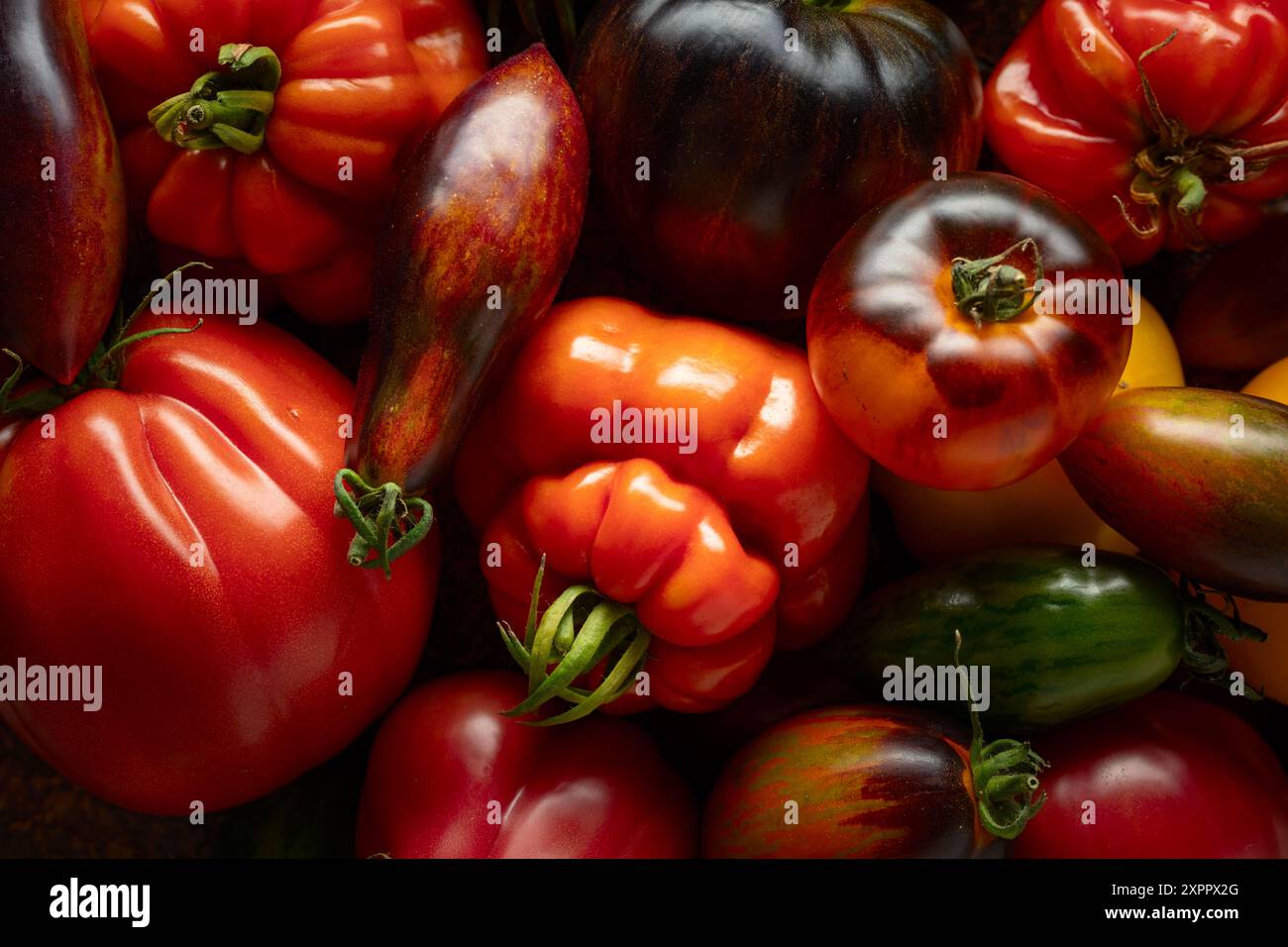 Mix of yellow varieties hi-res stock photography and images - Alamy