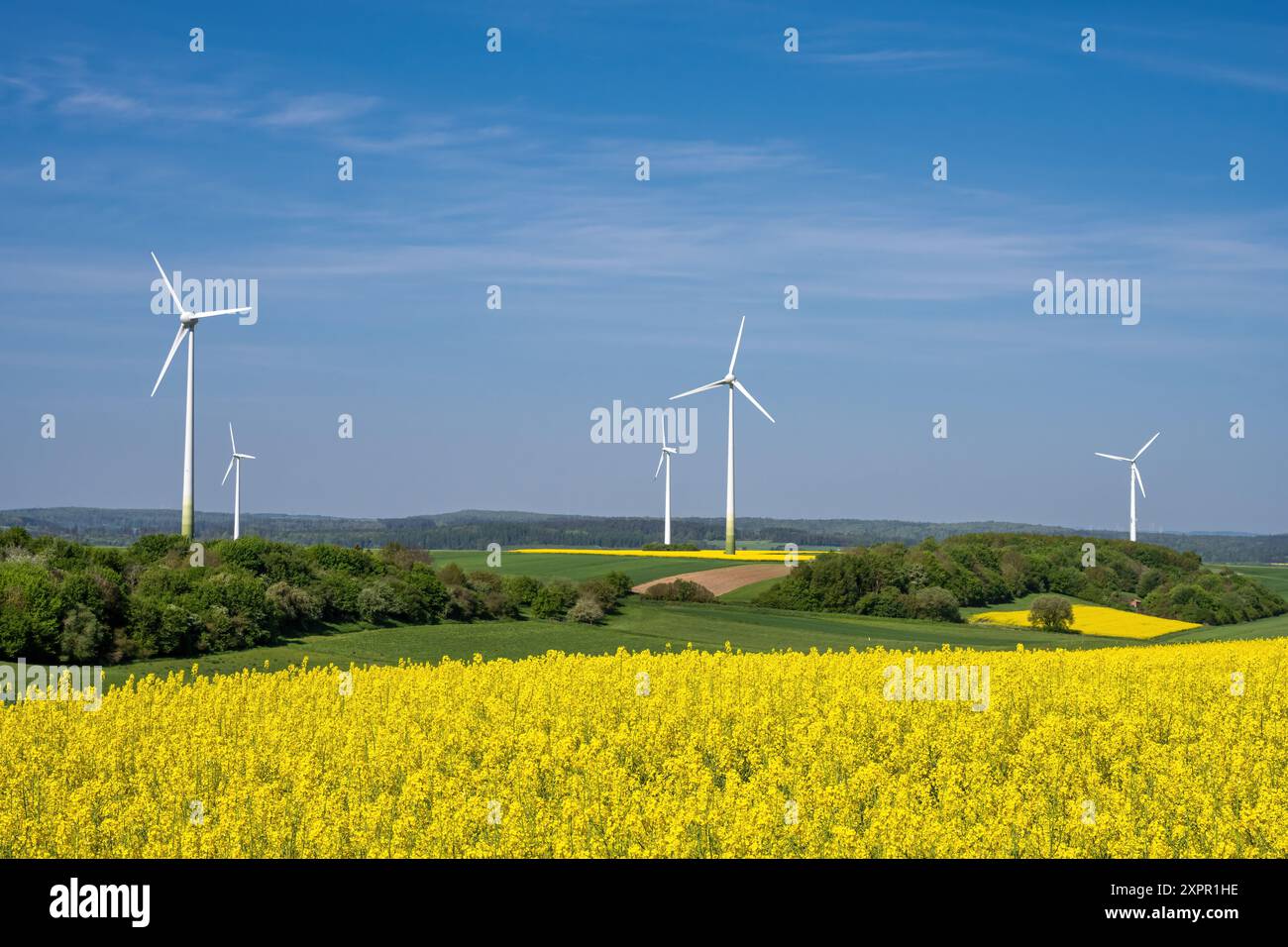 Rural landscape with yellow canola fields and wind turbines seen in ...