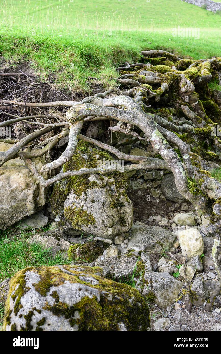 Ground stability hi-res stock photography and images - Alamy