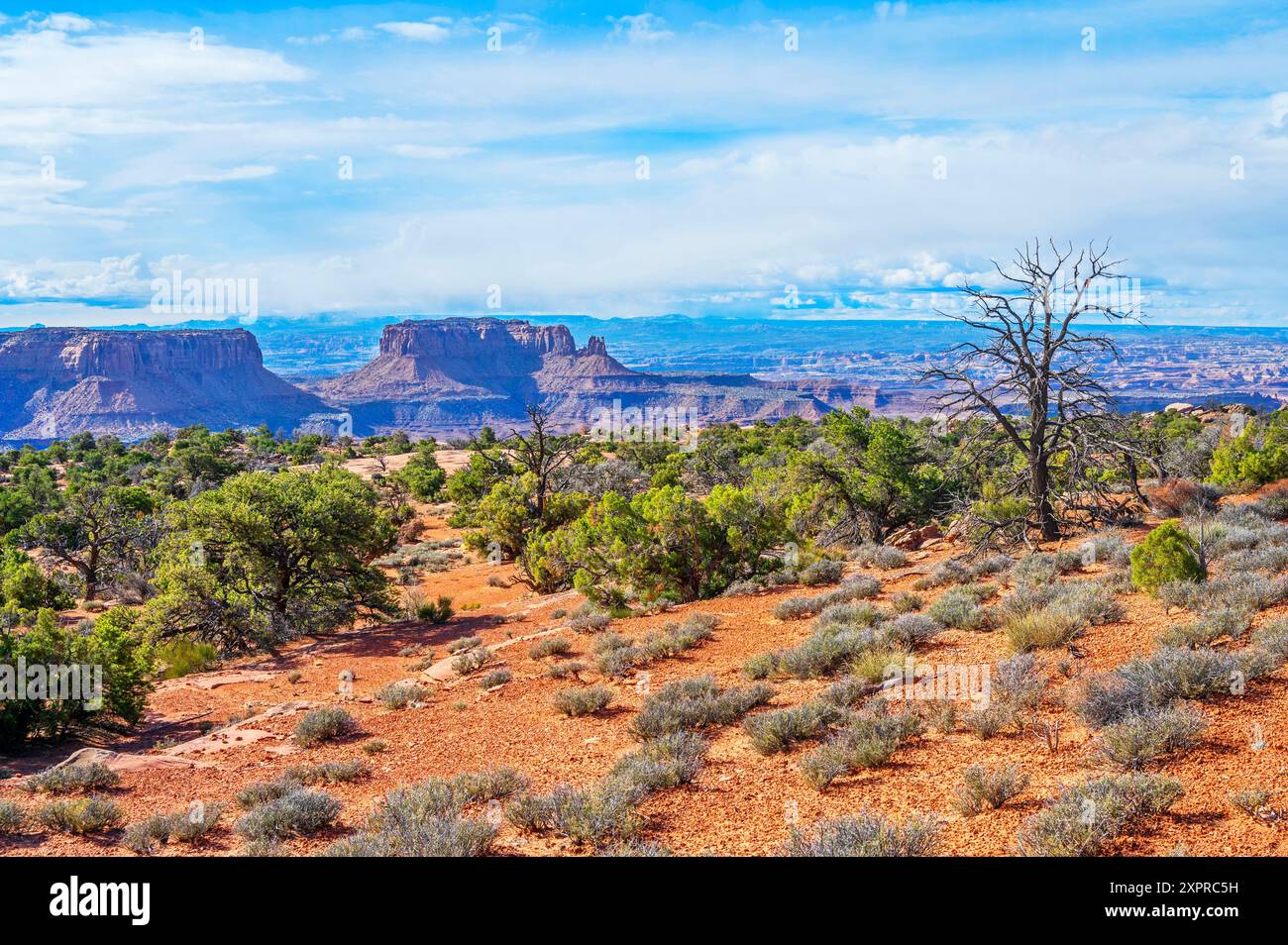 Murphy Point Trail, Canyonlands National Park, Moab, Utah, USA, United States Stock Photo