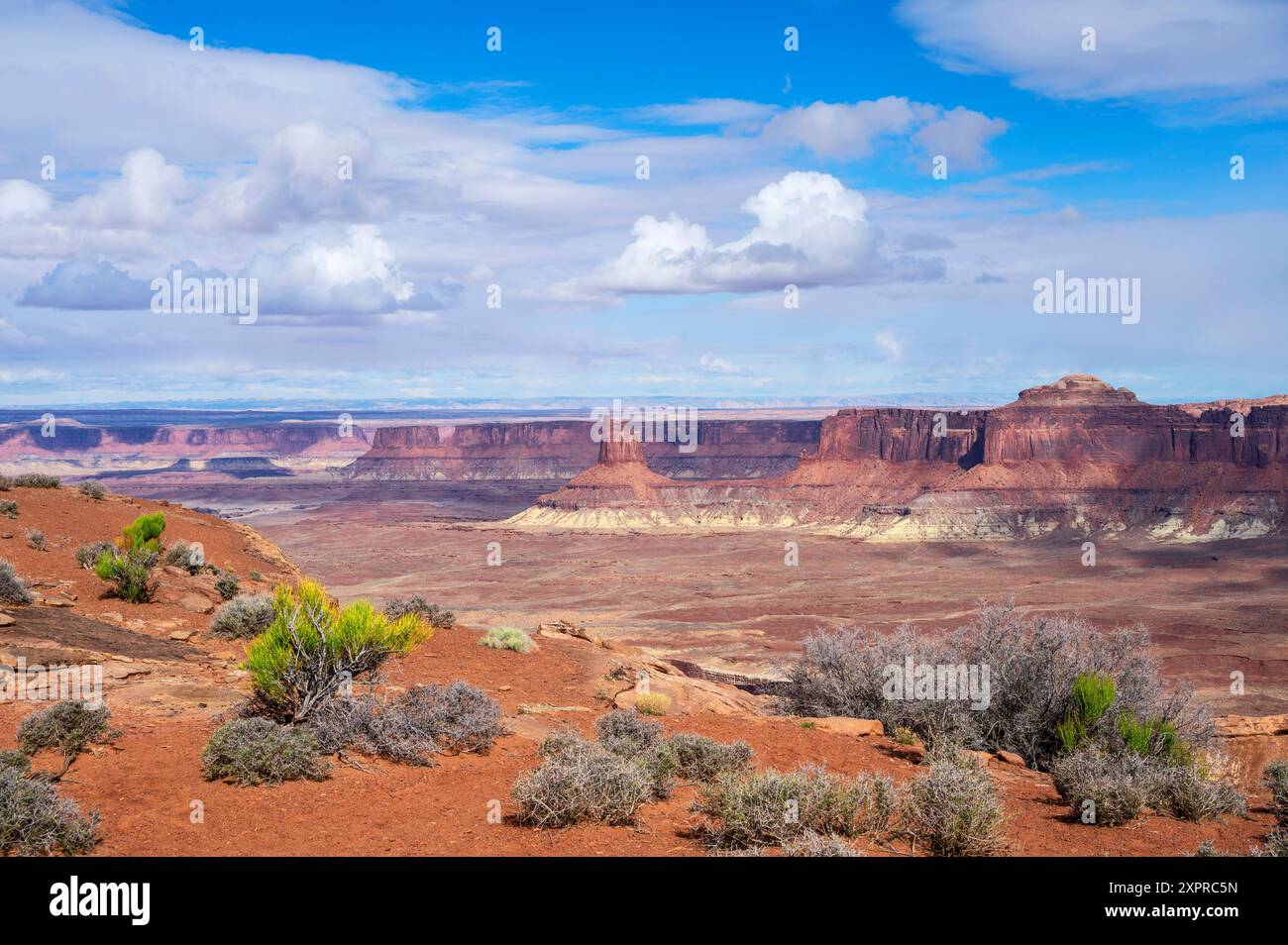 Murphy Point Trail, Canyonlands National Park, Moab, Utah, USA, United States Stock Photo