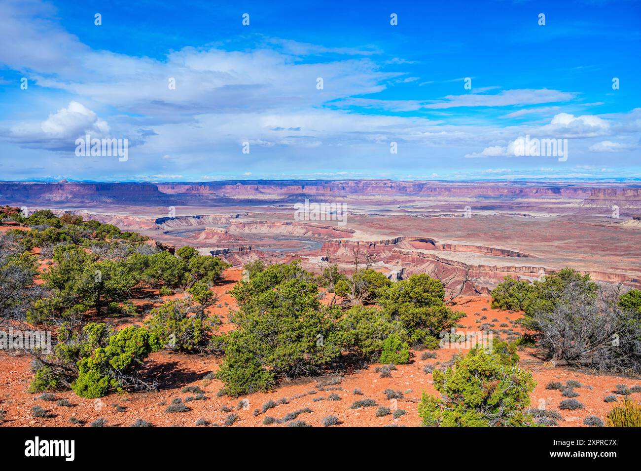 Murphy Point Trail, Canyonlands National Park, Moab, Utah, USA, United States Stock Photo