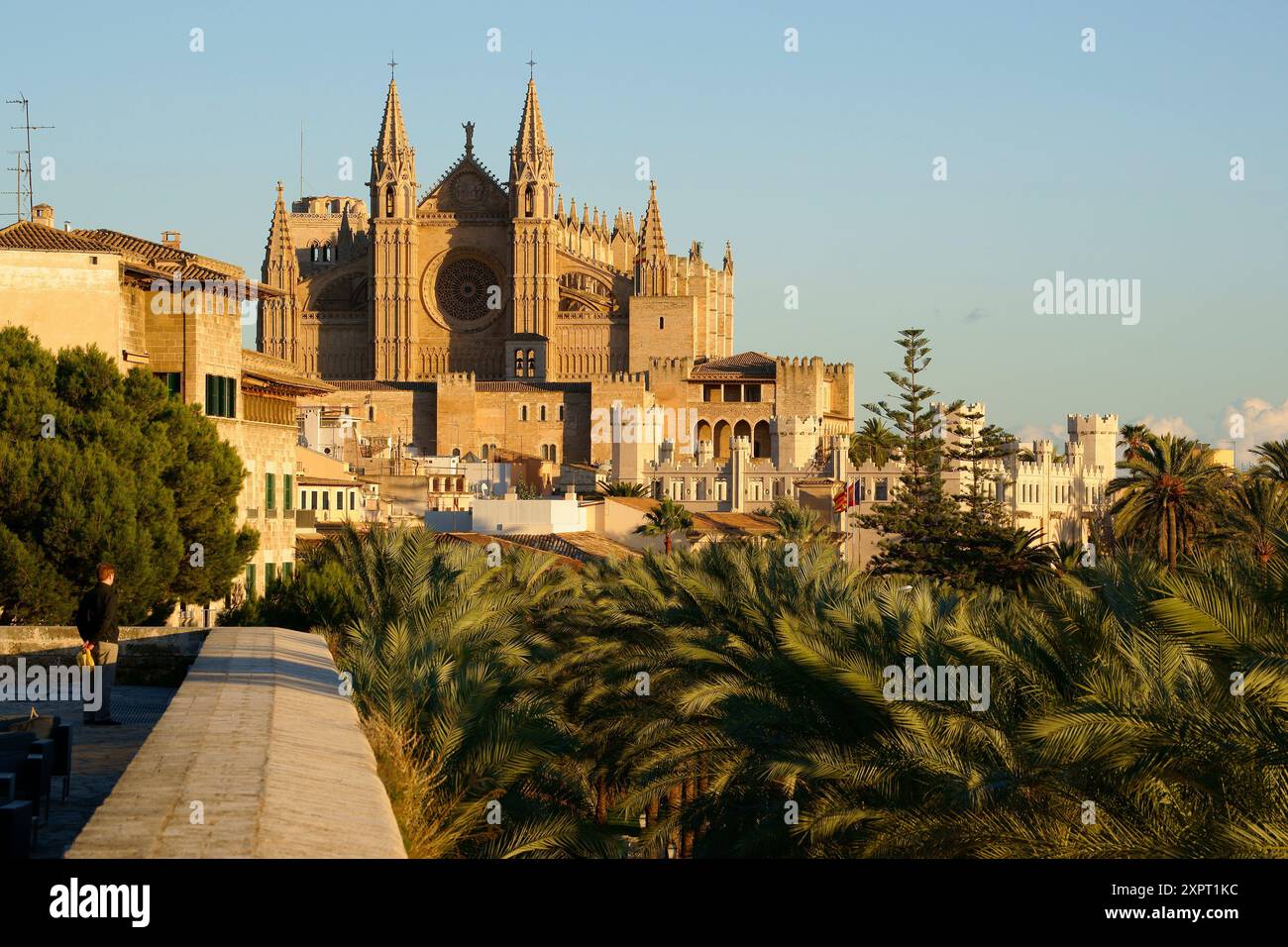 Catedral de Mallorca from the terrace of Baluard Museum, museu dArt Modern i Contemporani de Palma Palma Mallorca Balearic Islands Spain. Stock Photo