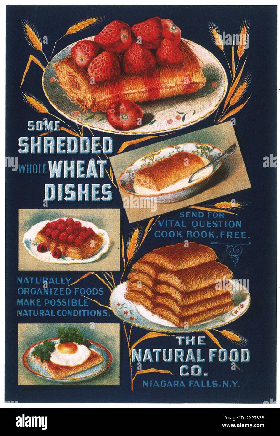 1903 Shredded Wheat Two-Sided Ad - Natural Food Co Stock Photo