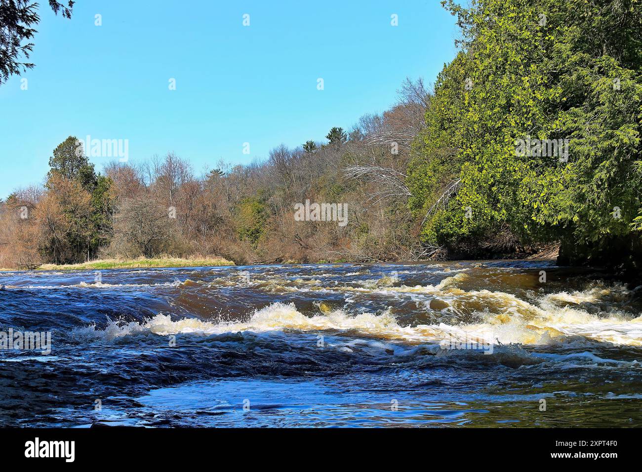 Smaller cascade on the river flowing through the forest Stock Photo