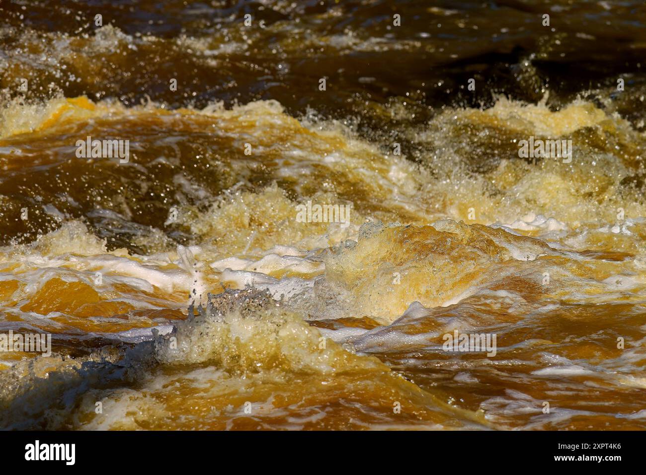 Smaller cascade on the river flowing through the forest Stock Photo