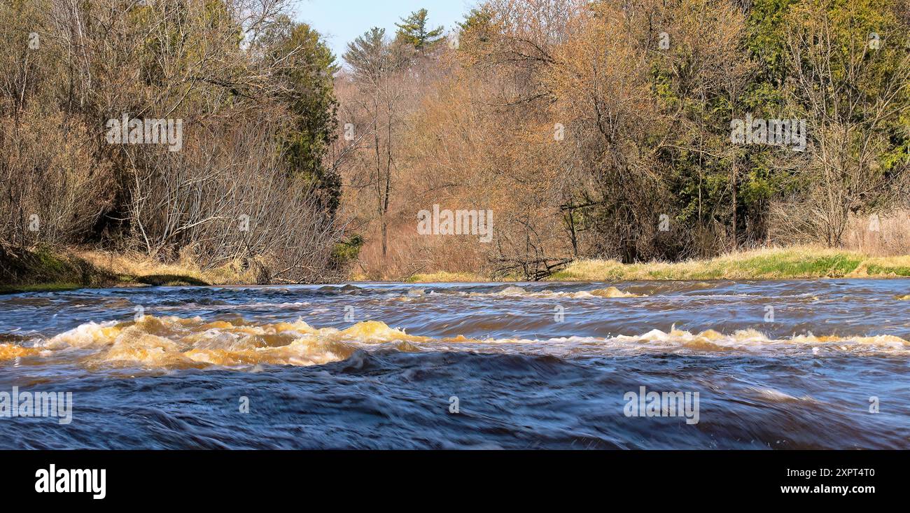 Smaller cascade on the river flowing through the forest Stock Photo