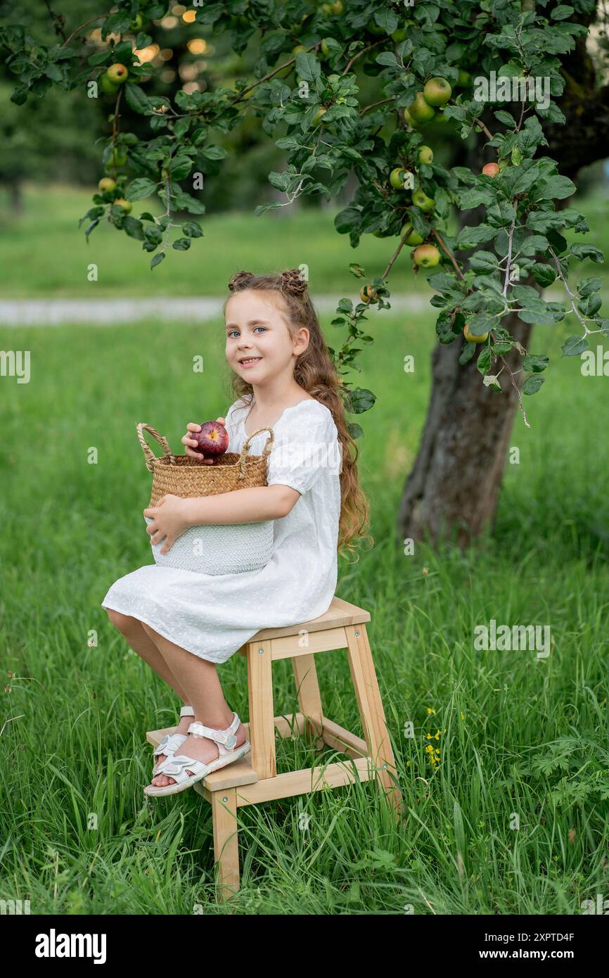 Cute little curly girl with long hair and blue eyes in white dress is picking apples in the garden. Stock Photo