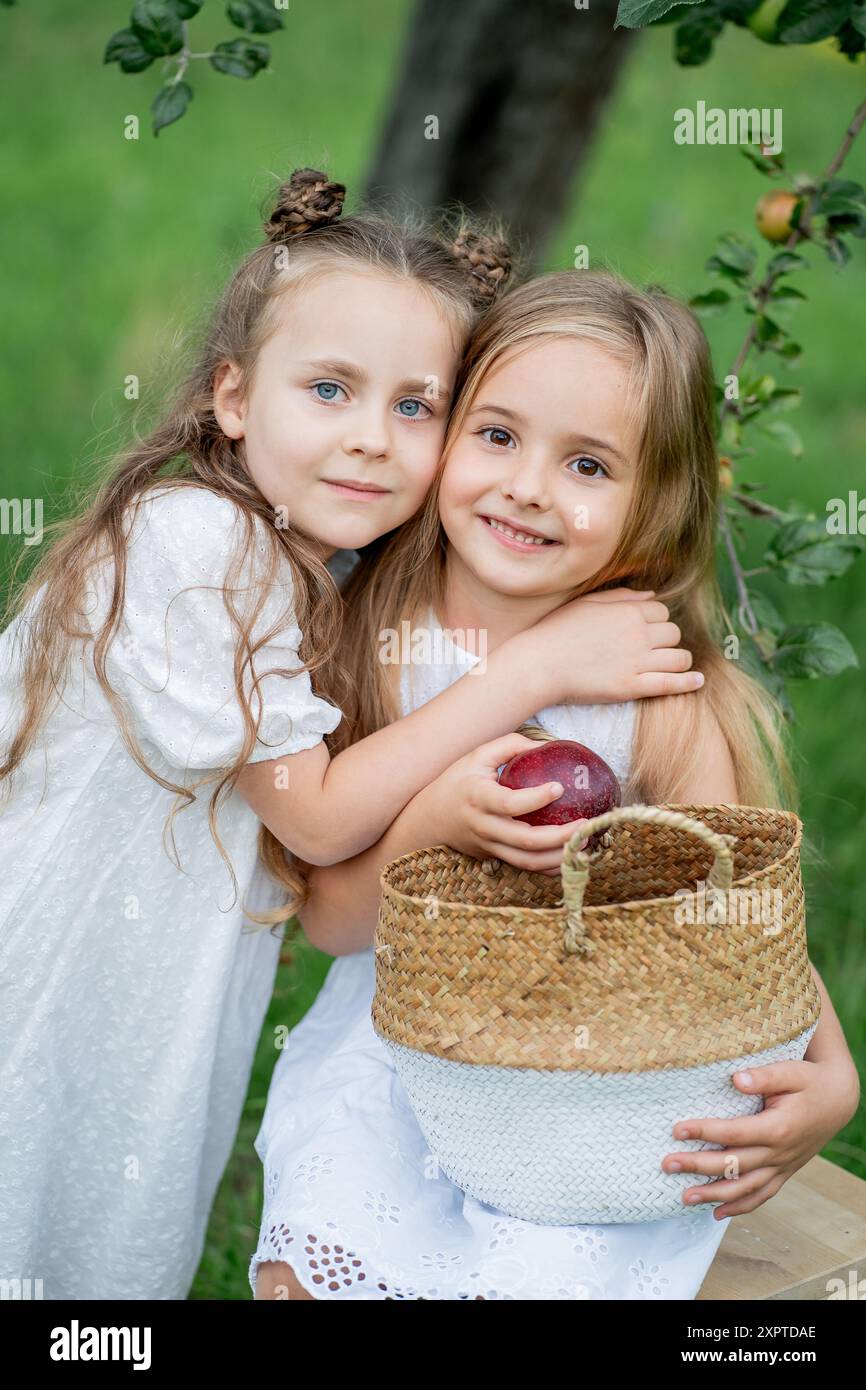 Cute two little girl friends are smiling and picking apples in basket in the garden. Fruits. Stock Photo