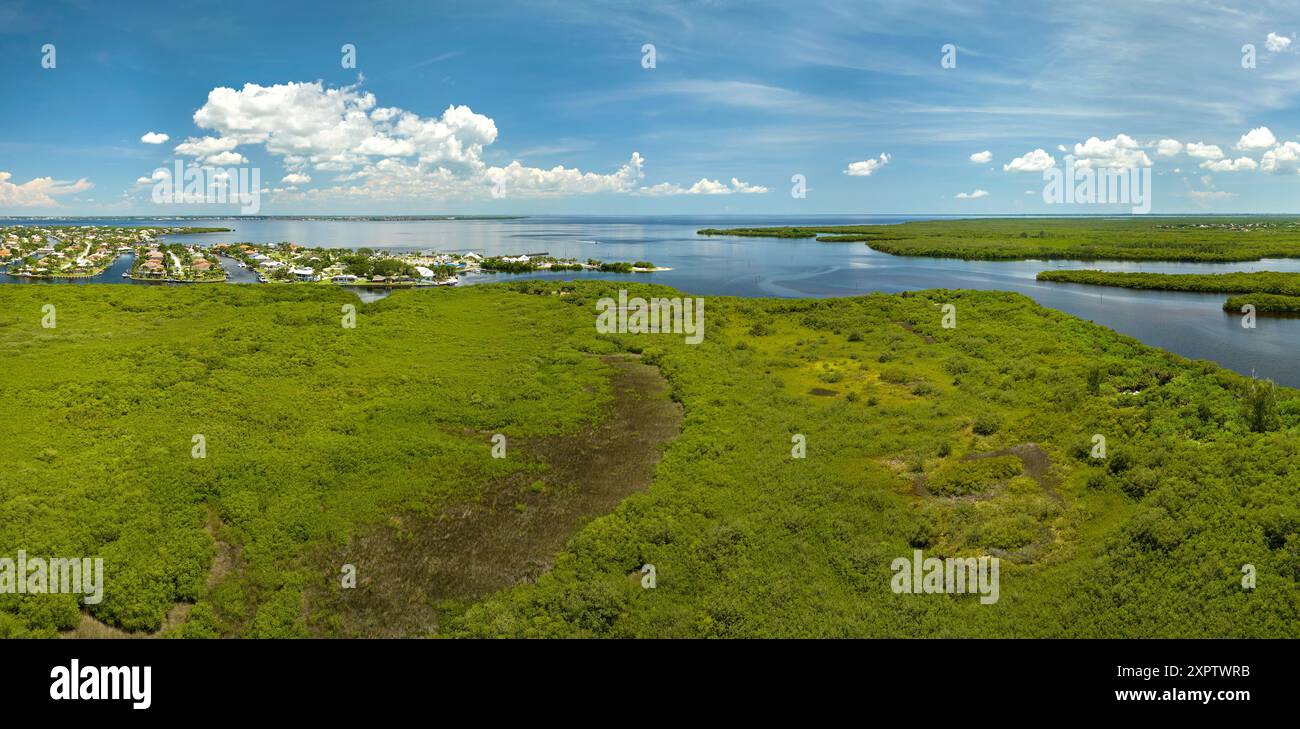 Aerial view of Florida wetlands with green vegetation between ocean ...