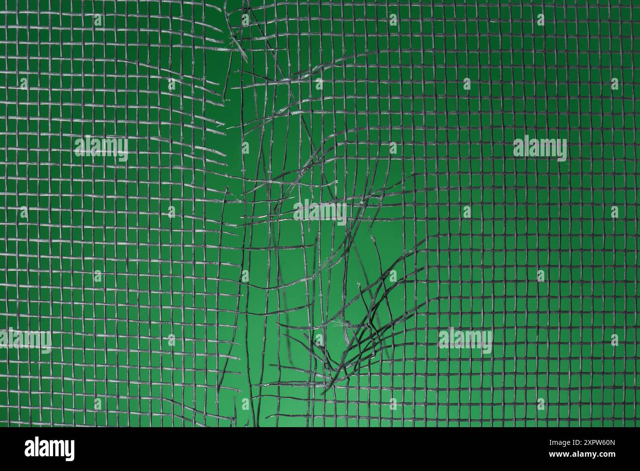 Torn window screen against green background, closeup Stock Photo
