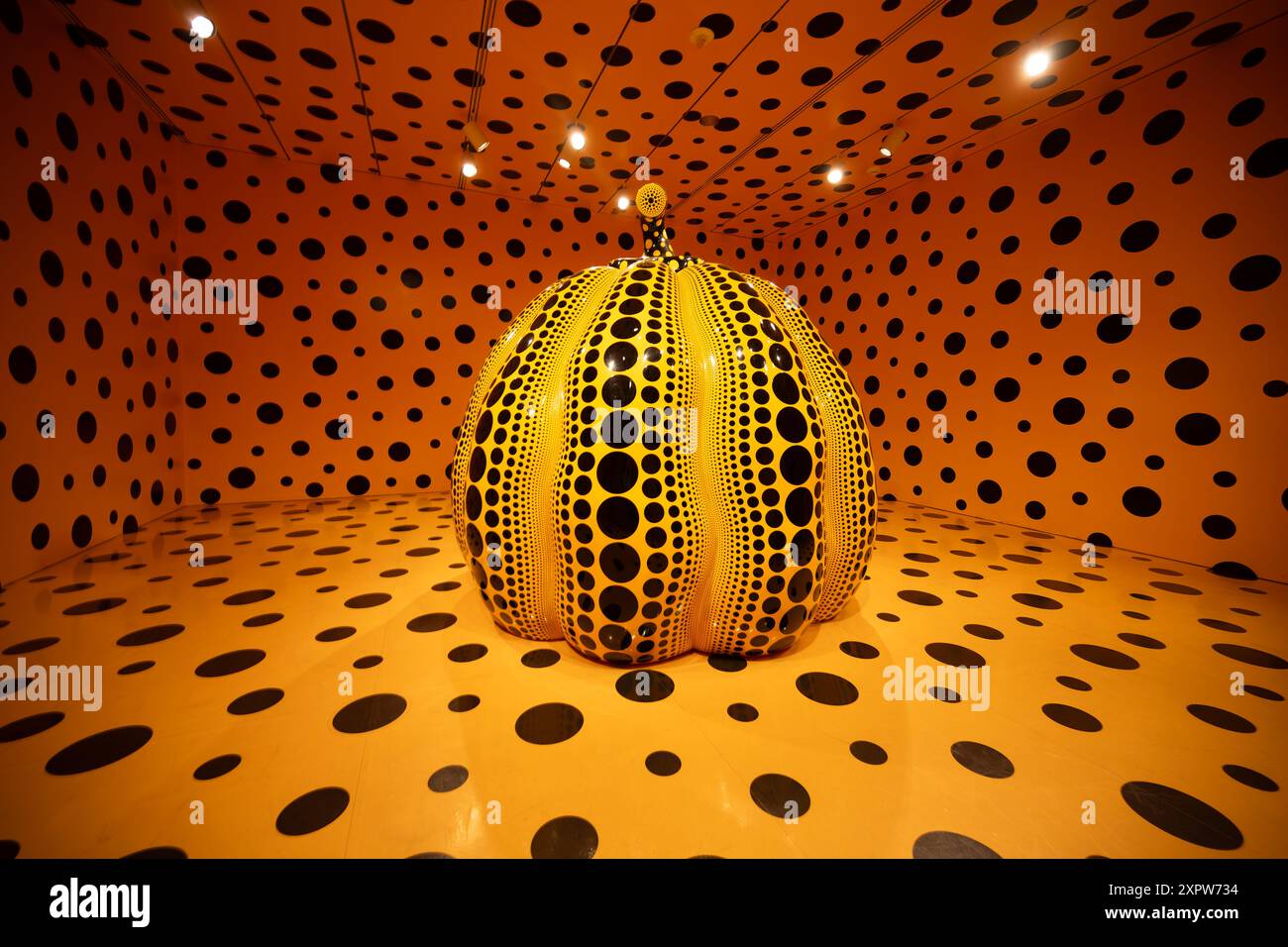 kusamas-pumpkins-hi-res-stock-photography-and-images-alamy