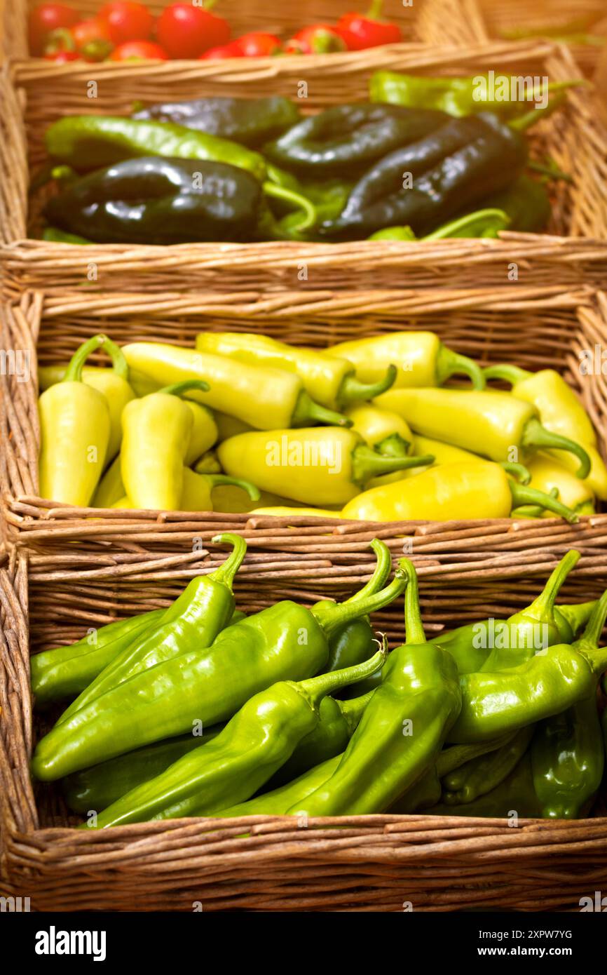 Spicy chili peppers freshly picked in a range of exotic market foods including Friggitello, Santa Fe Grande, Anaheim and Poblano chili peppers. Also o Stock Photo