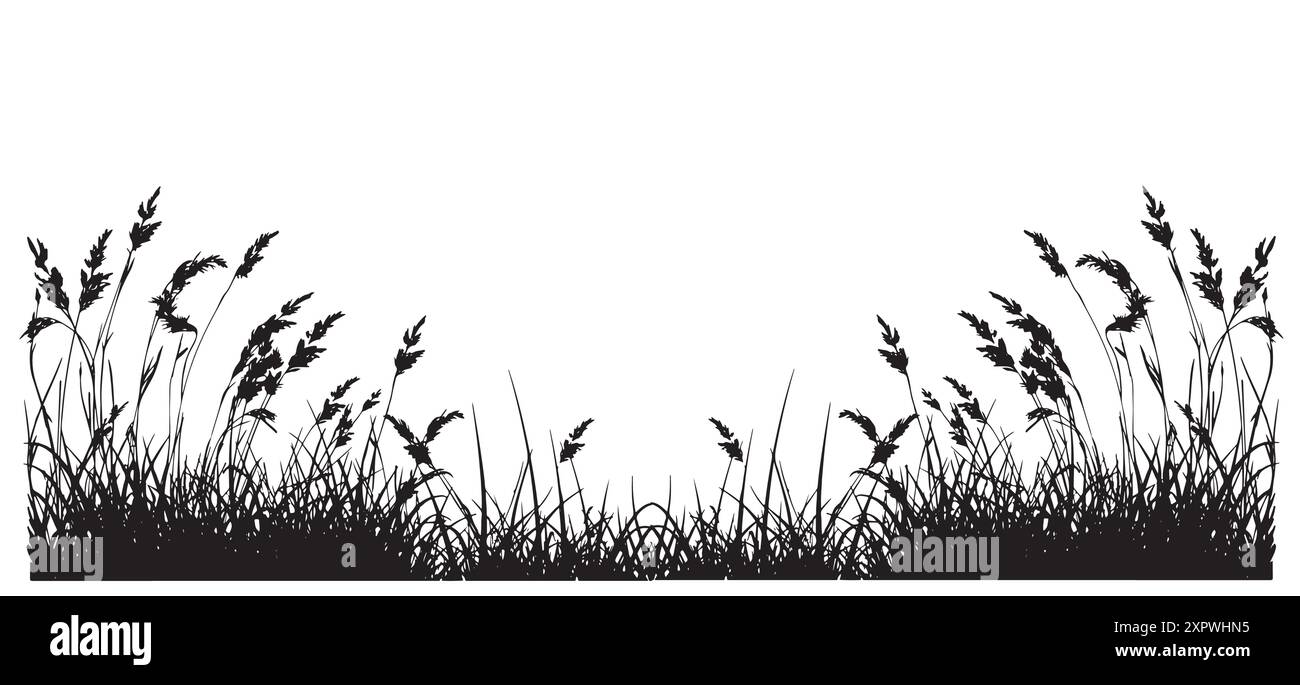 Wavy grass field Black and White Stock Photos & Images - Alamy