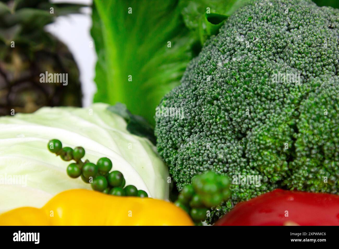 Broccoli isolated on white background with clipping path design Stock Photo