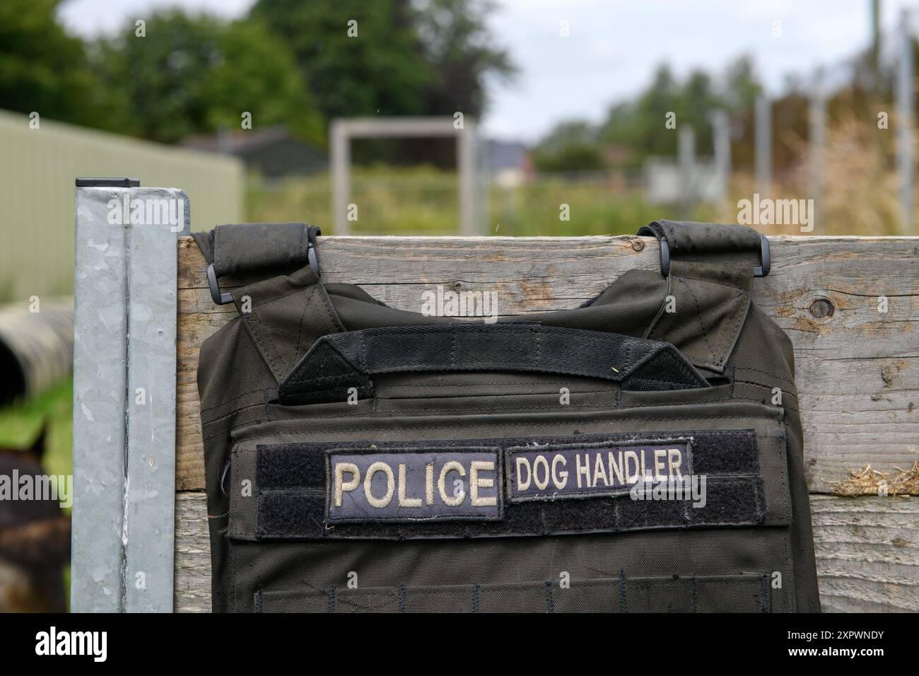 A Police dog handler vest, UK. Stock Photo