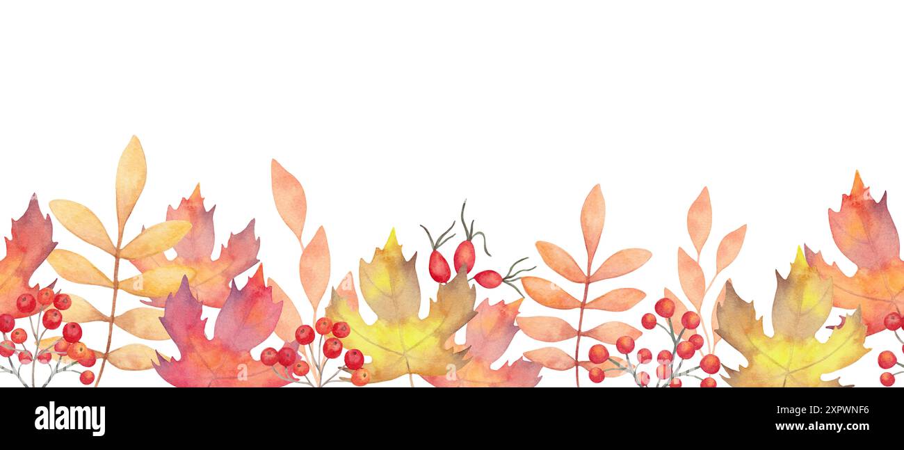 Seamless autumn border of fall leaves with rowan berries, rose hips ...