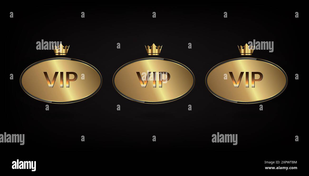 A Luxury gold circle realistic metal button button vector infographic ...
