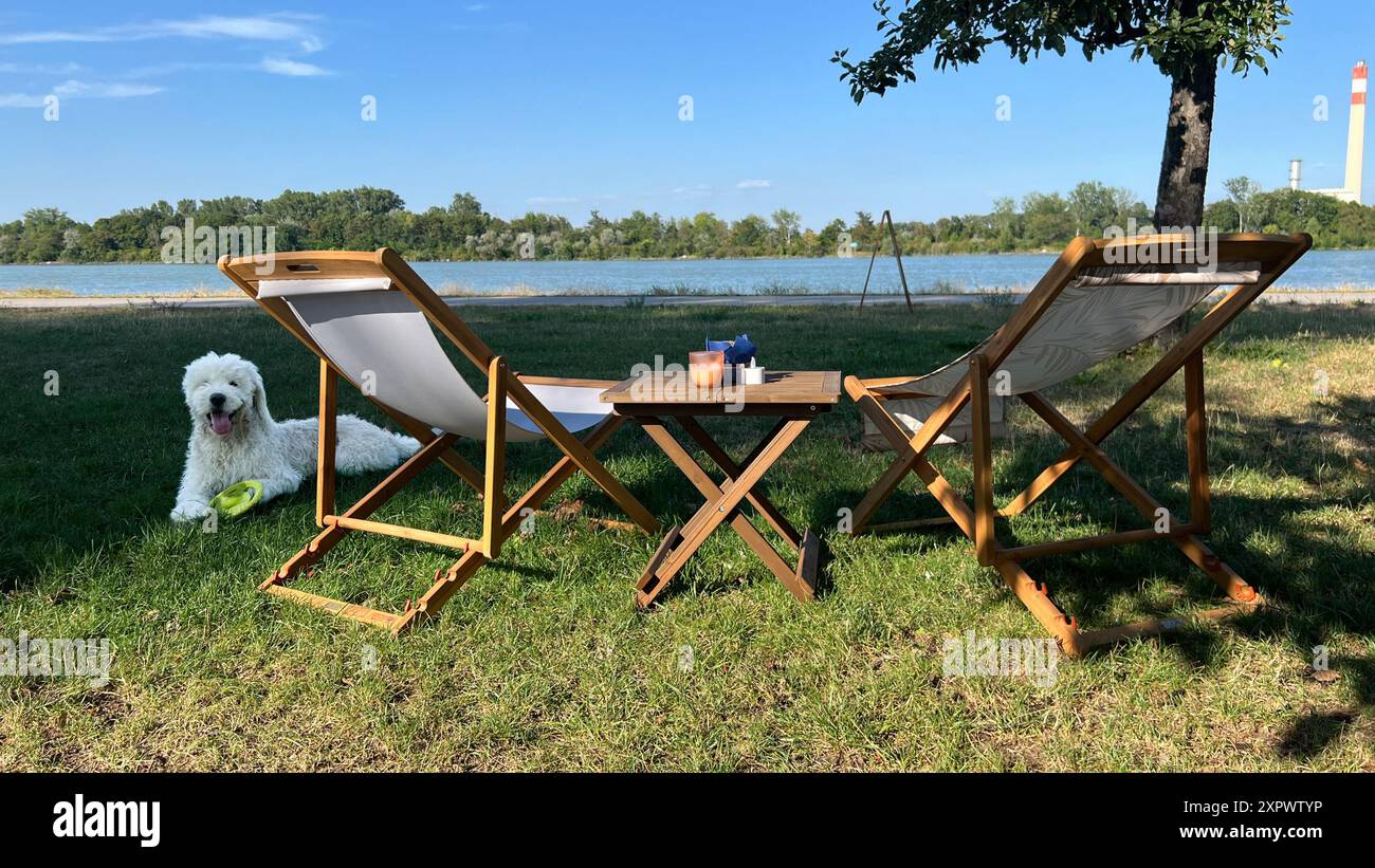 Urlaub in Wien, August 2024 Stock Photo