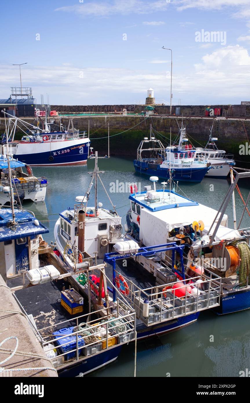 Pittenweem harbour is home to many fishing boats Stock Photo - Alamy