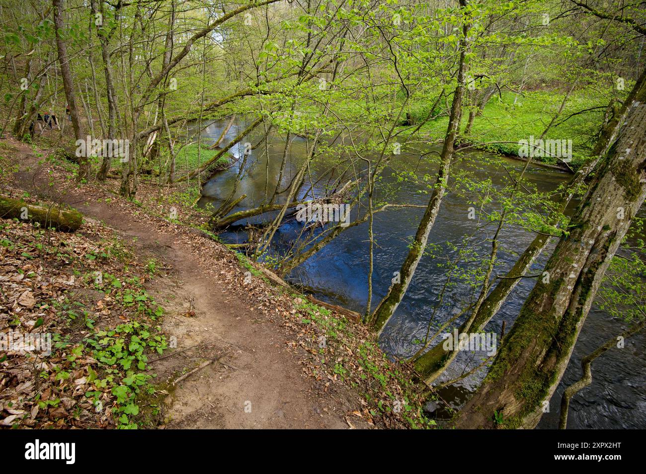 Radunia river gorge reserve hi-res stock photography and images - Alamy