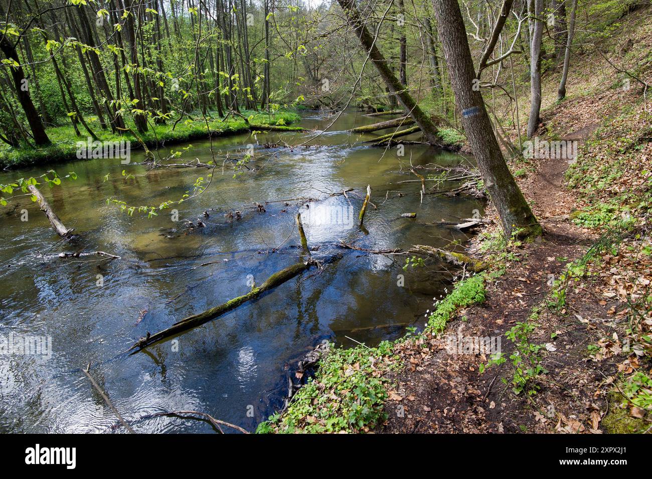 Radunia River Gorge reserve in Babidol, Poland © Wojciech Strozyk ...