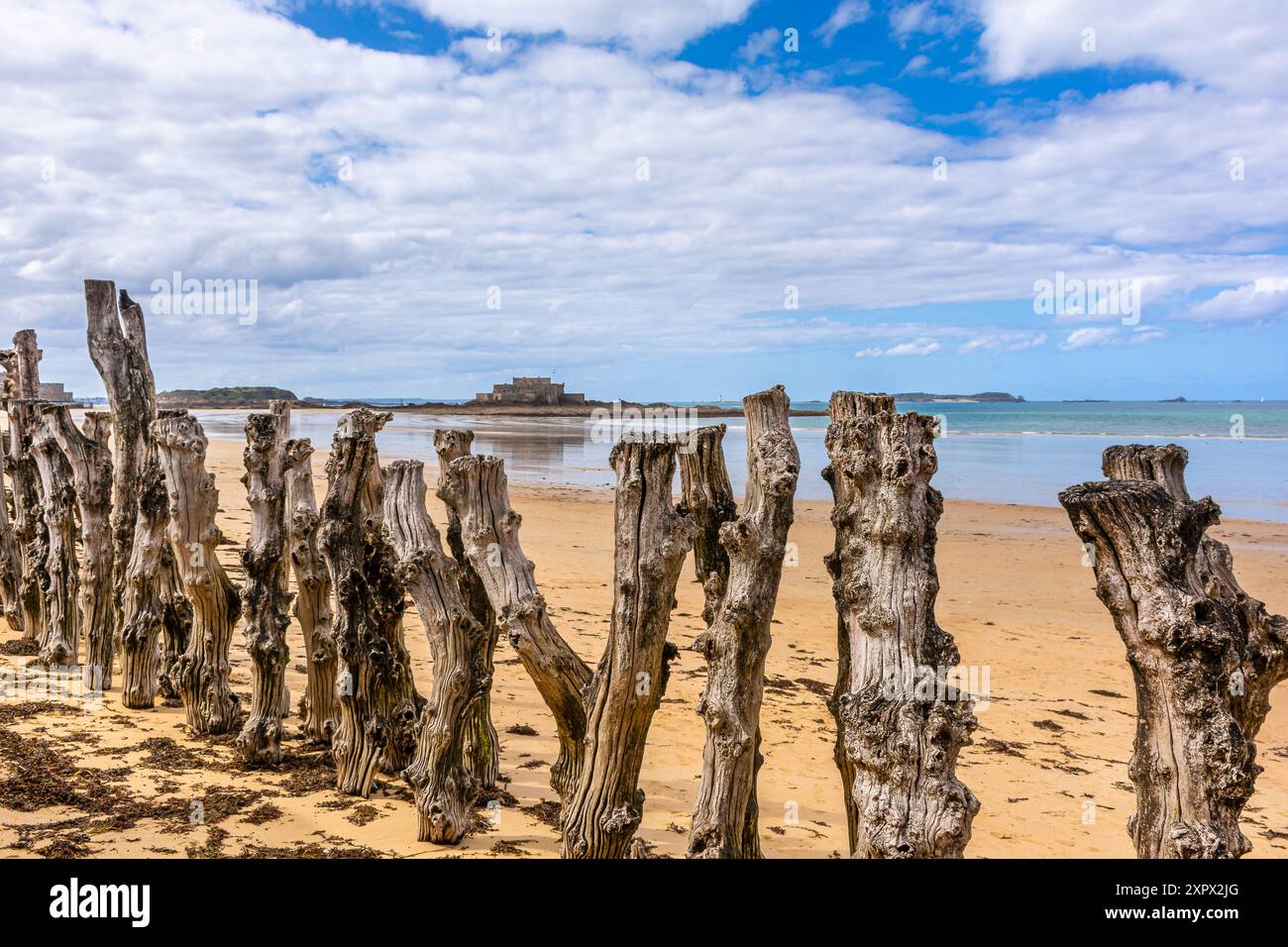 Scenic view of Eventail beach in Saint Malo in Brittany in France with its wood trunks and fine sand Stock Photo