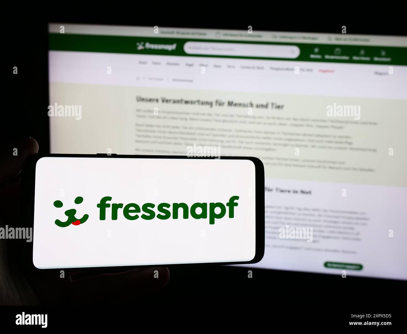 Person holding smartphone with logo of German retail company Fressnapf Holding SE in front of website. Focus on phone display. Stock Photo