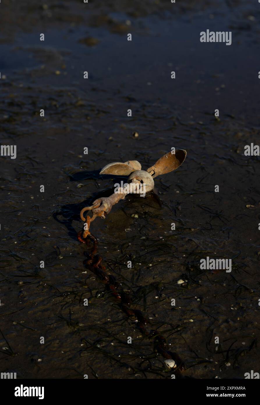 Old washed up anchor Stock Photo