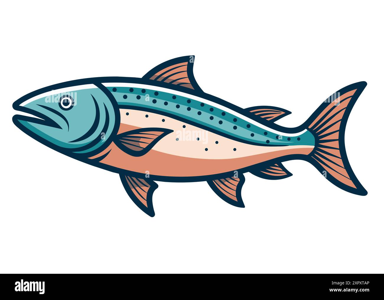 Salmon fish isolated on white. Cartoon style vector illustration Stock ...
