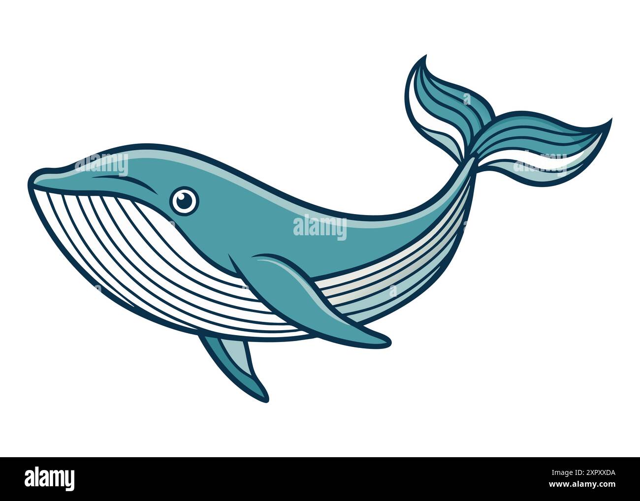 Whale in cartoon style Stock Vector Images - Alamy