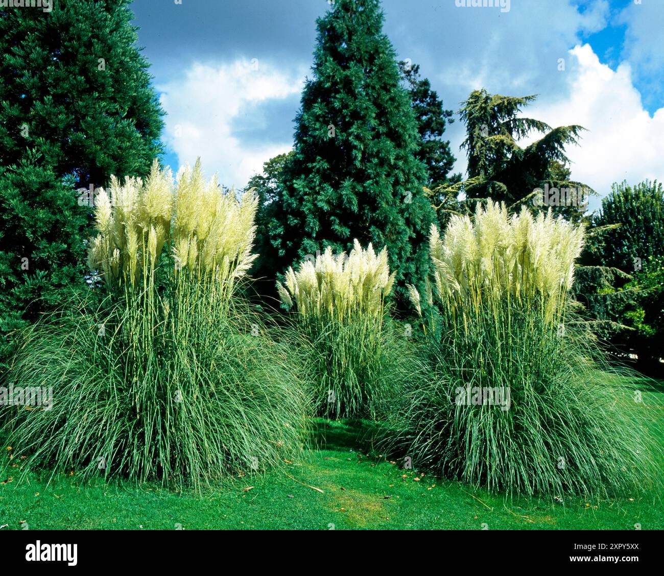 Grasfluren hires stock photography and images Alamy
