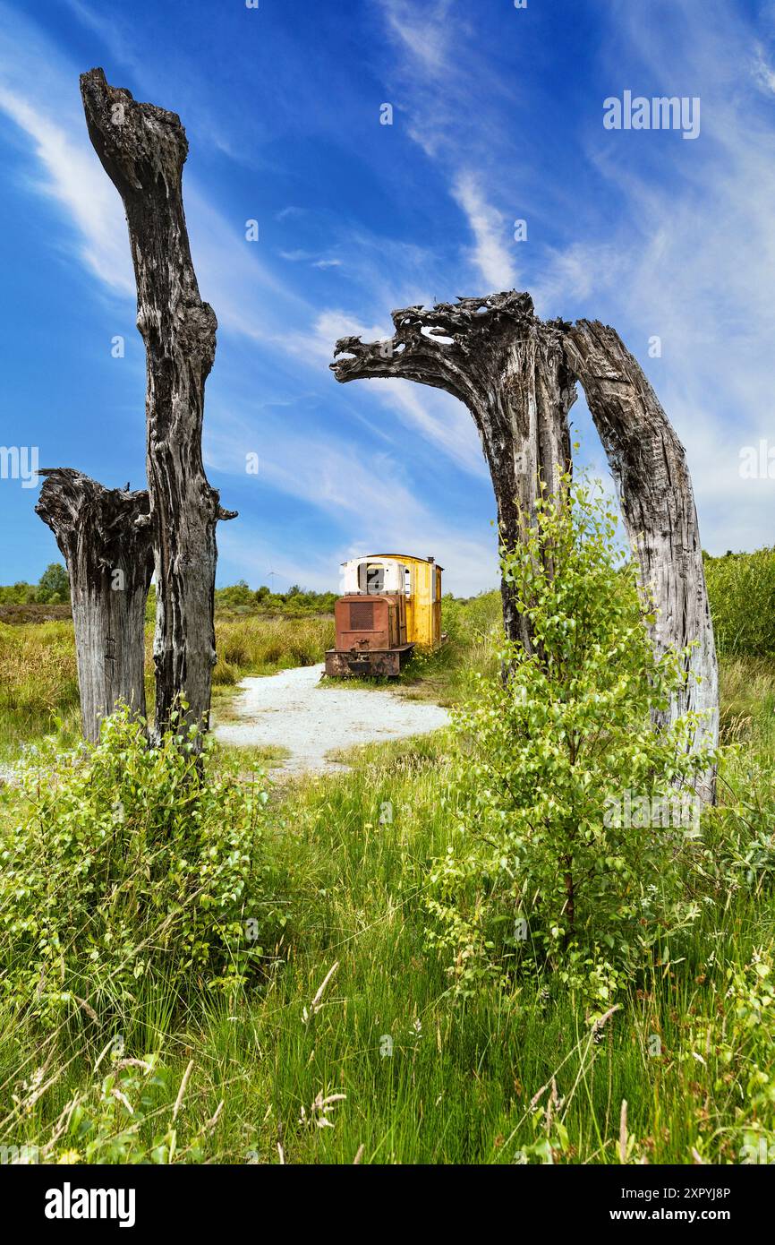 'Bog Track', aka 'The Black Forest', a sculpture by Johan Sietzema in Bord na Mona's Lough Boora Discovery Park in County Offaly, Ireland. Stock Photo