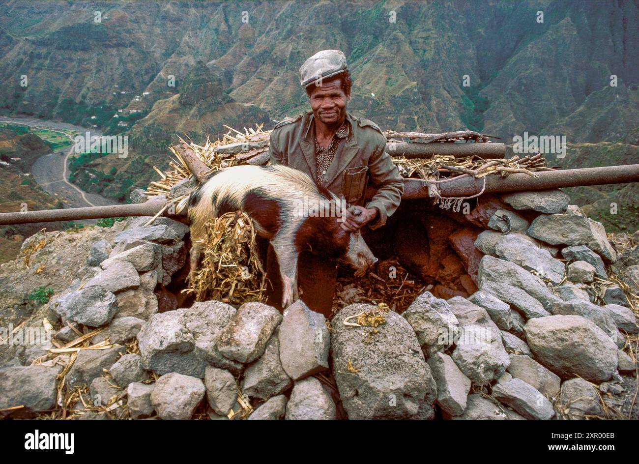 Cape Verde, Santa Antao Island. Man holding a pig, sitting in its sty. Stock Photo