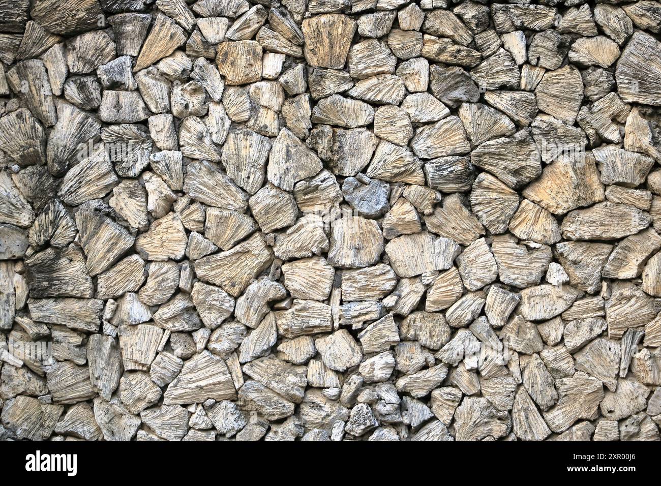 coral stone pattern wall in Bali in Indonesia Stock Photo - Alamy
