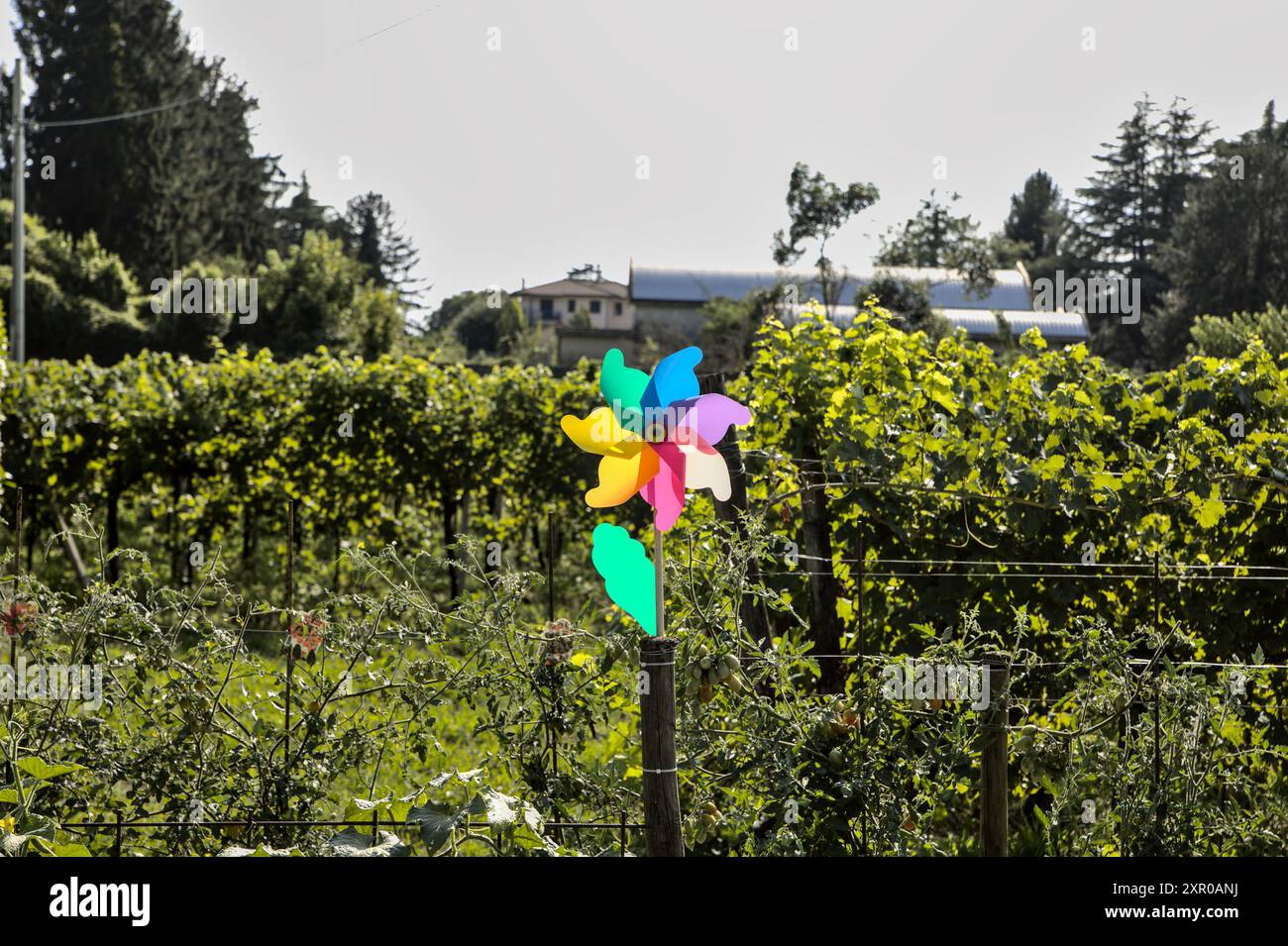 Kids pinwheel hi-res stock photography and images - Alamy